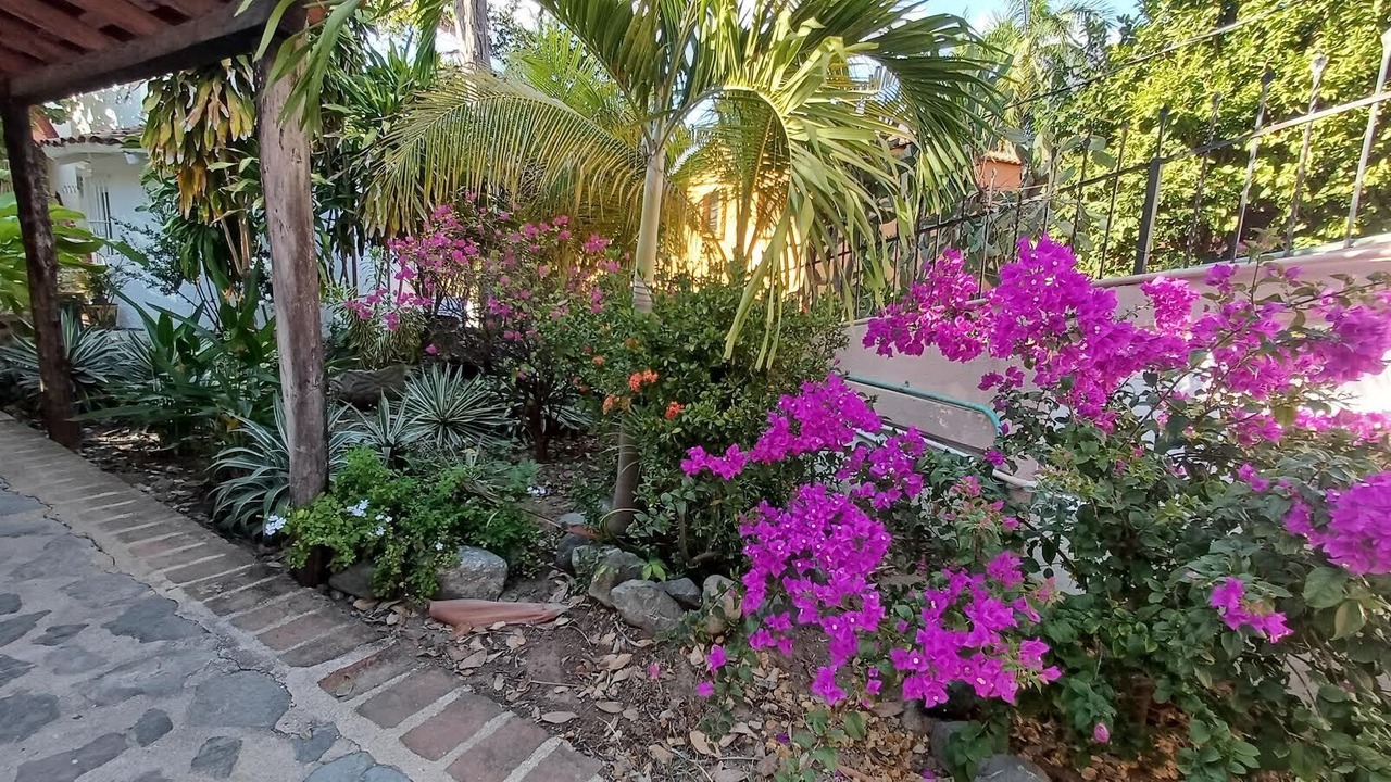 Photo of Outdoor in Playa Las Gatas