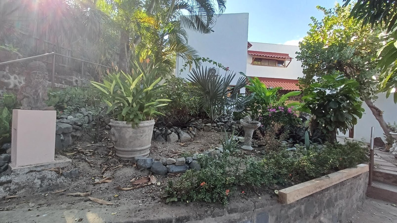 Photo of Outdoor in Playa Las Gatas