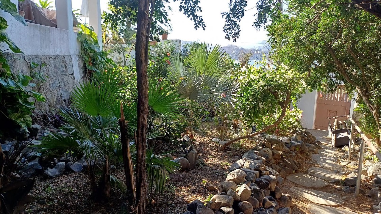 Photo of Outdoor in Playa Las Gatas