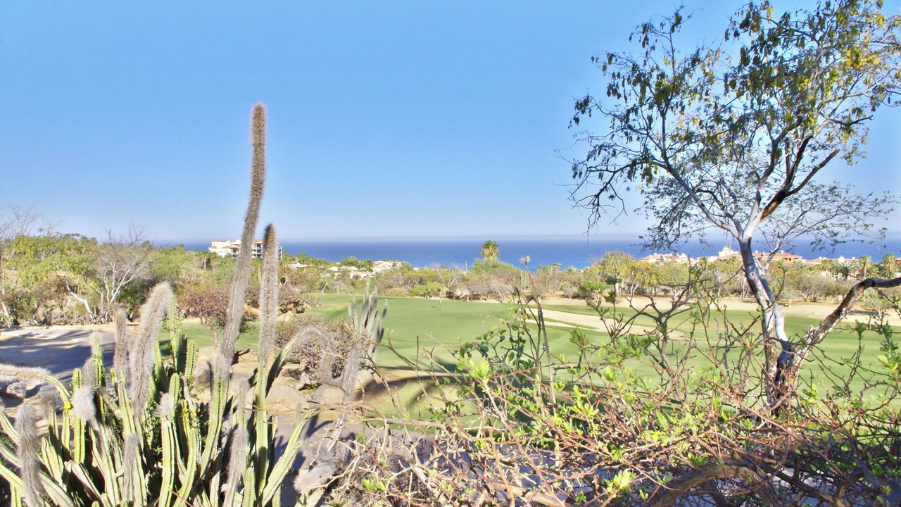Photo of Others in Cabo San Lucas