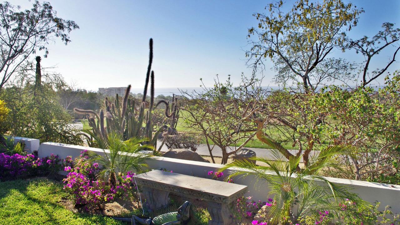 Photo of Outdoor in Cabo San Lucas