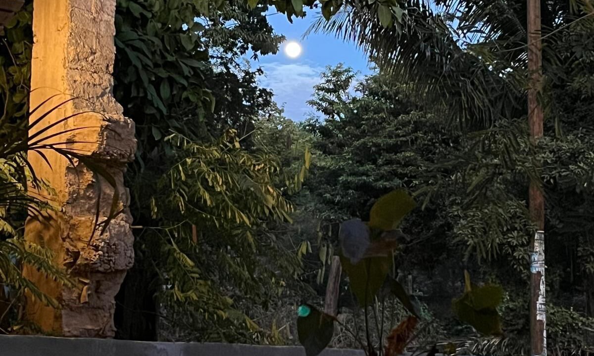 Photo of Outdoor in Santa Maria Tecomavaca