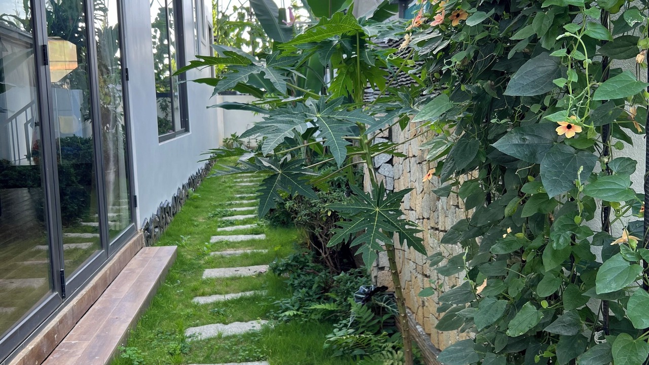 Photo of Outdoor in Phuong