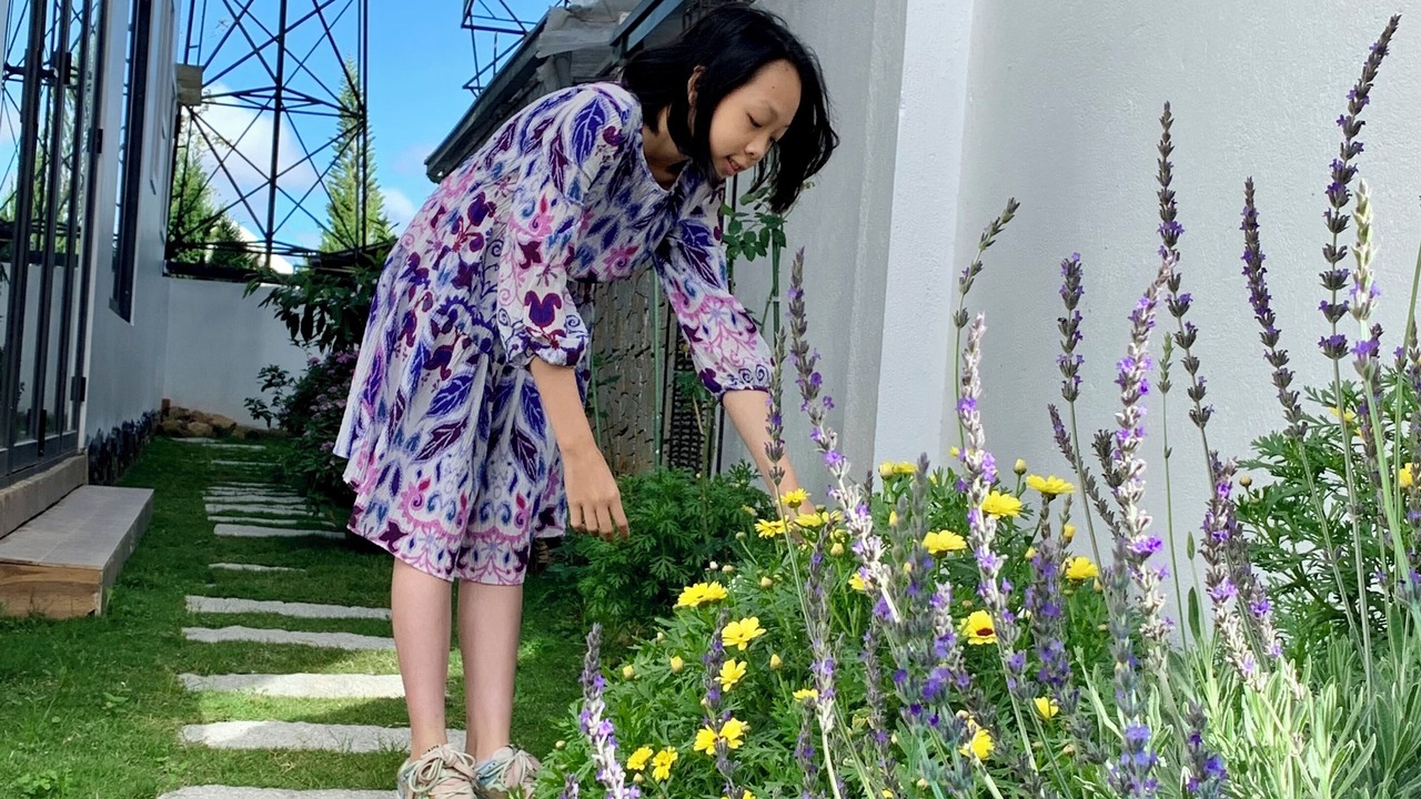 Photo of Outdoor in Phuong
