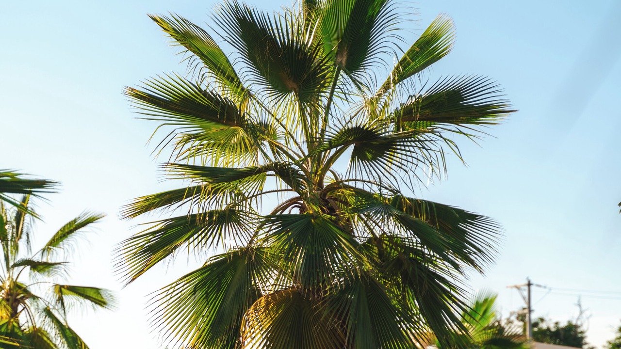 Photo of Outdoor in El Pescadero