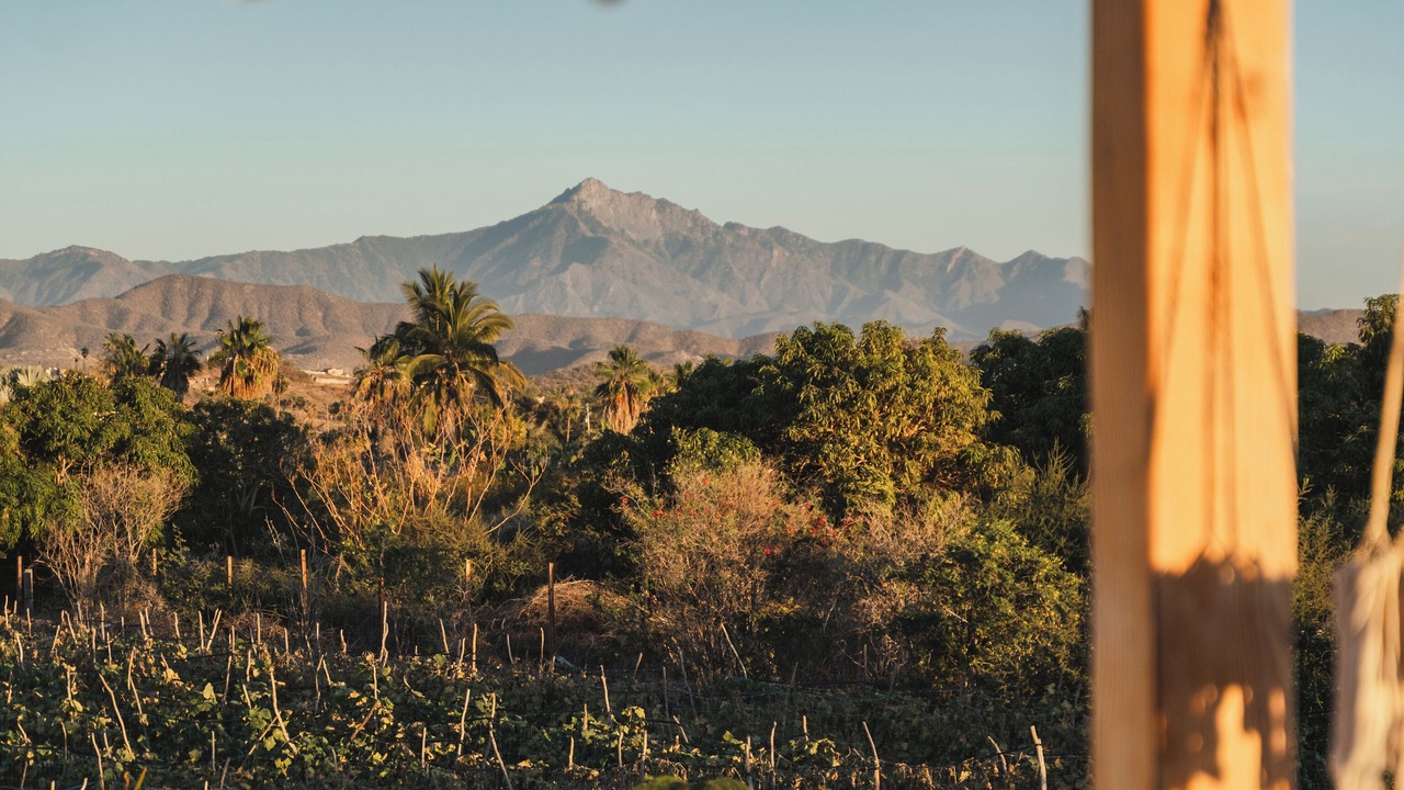 Photo of Outdoor in El Pescadero