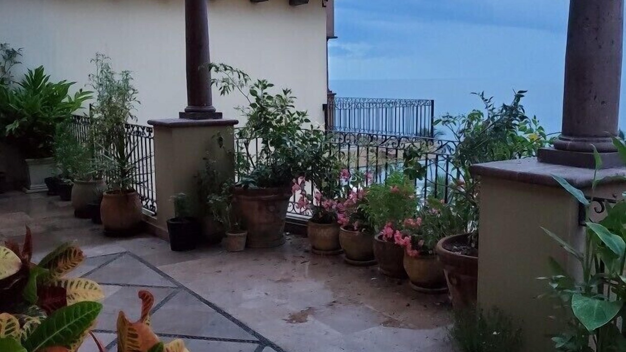 Photo of Outdoor in Flamingos