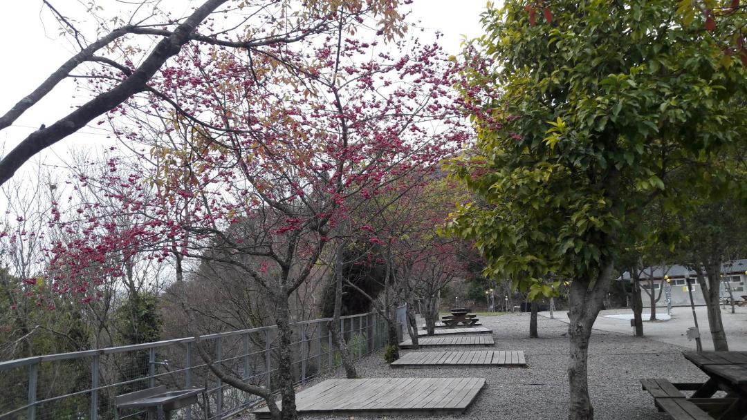 Photo of Others in Ren'ai