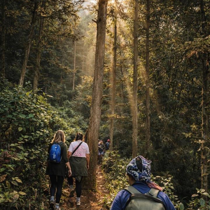 Photo of Others in Hau Thao
