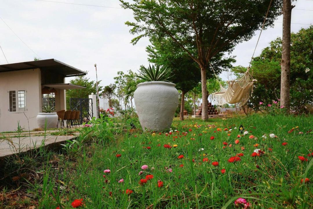 Photo of Others in Di Linh