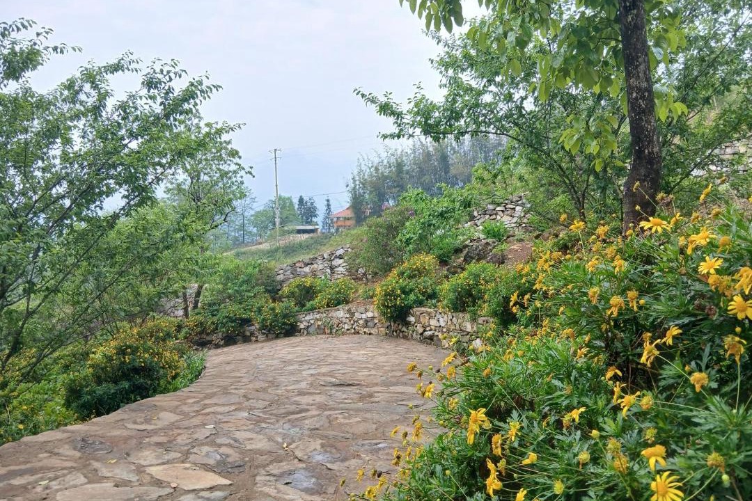 Photo of Outdoor in Hau Thao