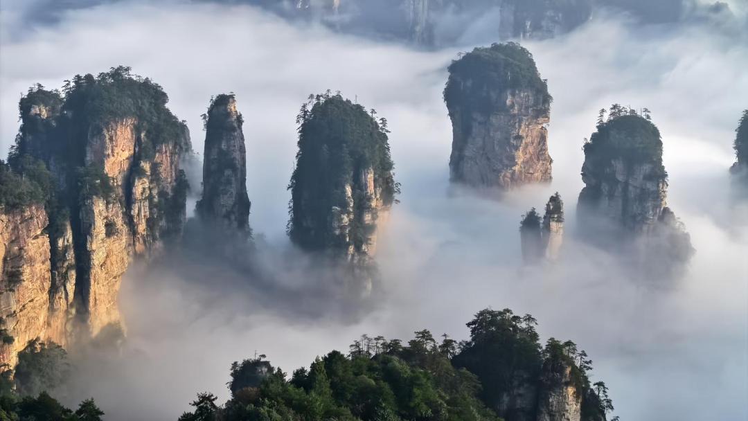 Photo of Others in Wulingyuan
