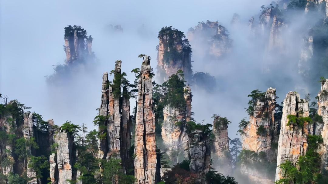 Photo of Others in Wulingyuan