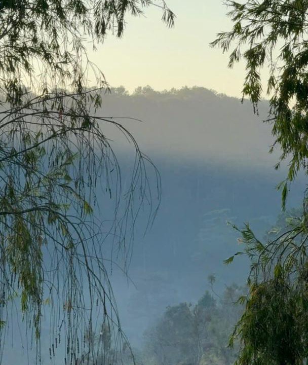 Photo of Others in Da Lat