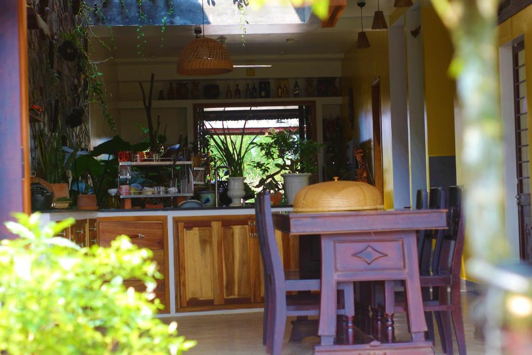 Photo of Others in Thuy Xuan