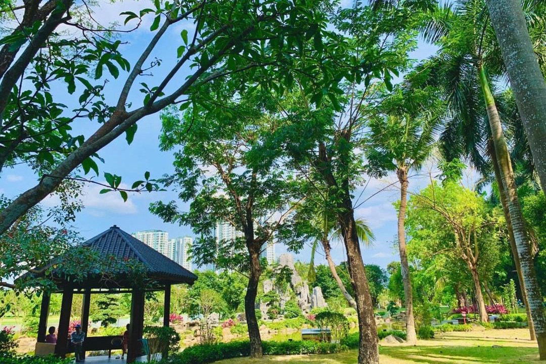 Photo of Others in Van Giang