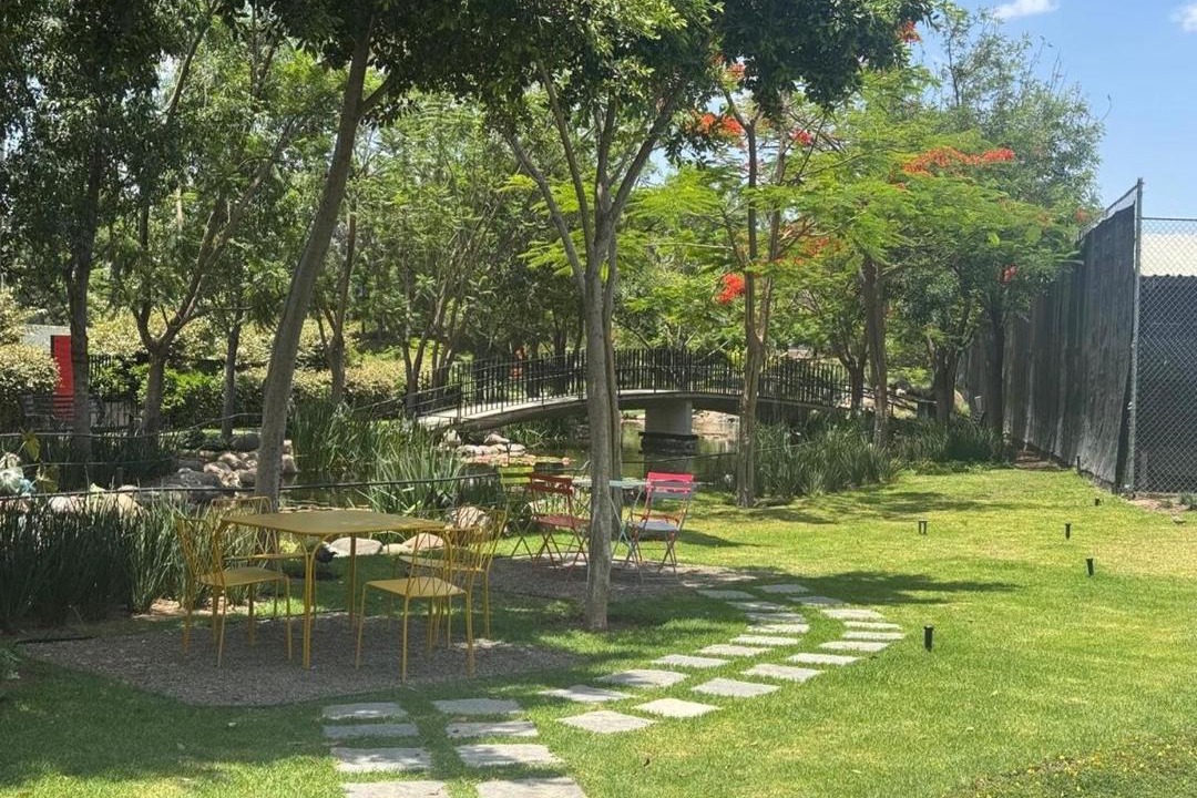 Photo of Others in Zapopan