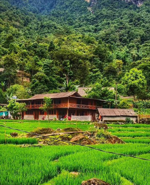 Photo of Others in Sa Pa