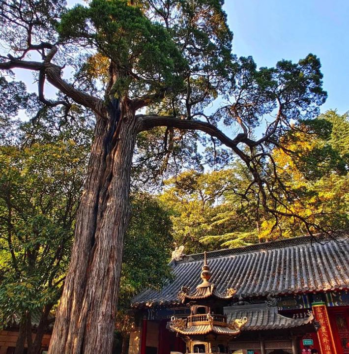 Photo of Others in Laoshan