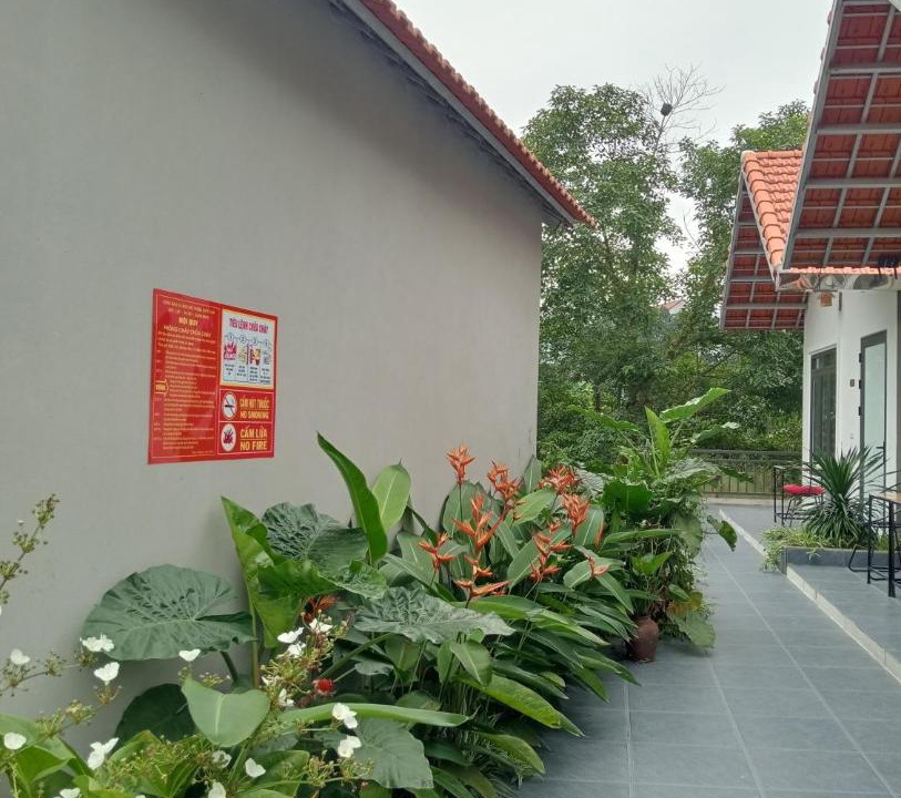 Photo of Others in Hoa Lu