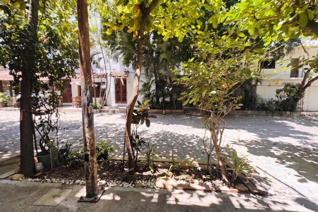 Photo of Others in Downtown Puerto Vallarta