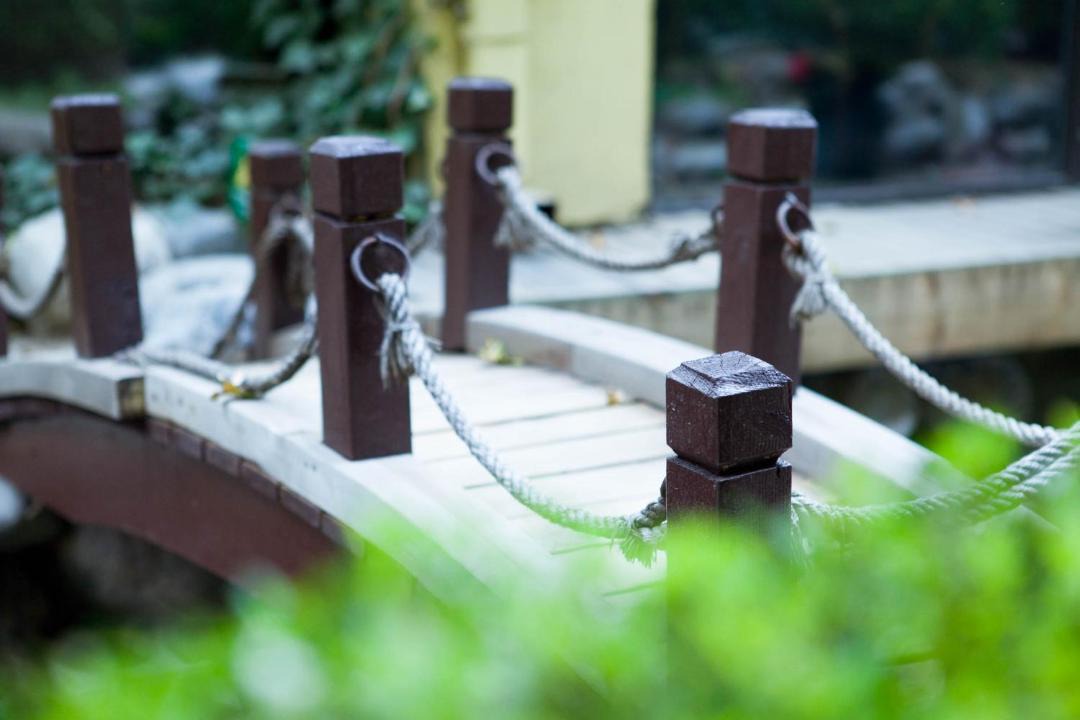 Photo of Others in Jianwai Street