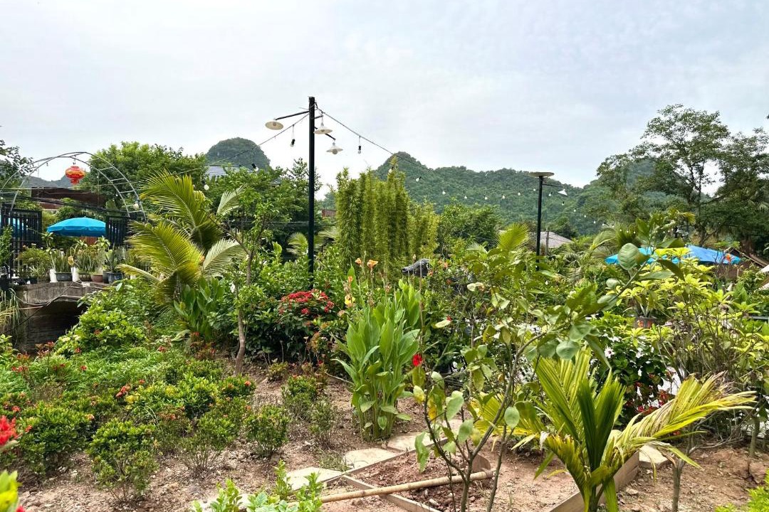 Photo of Others in Hoa Lu