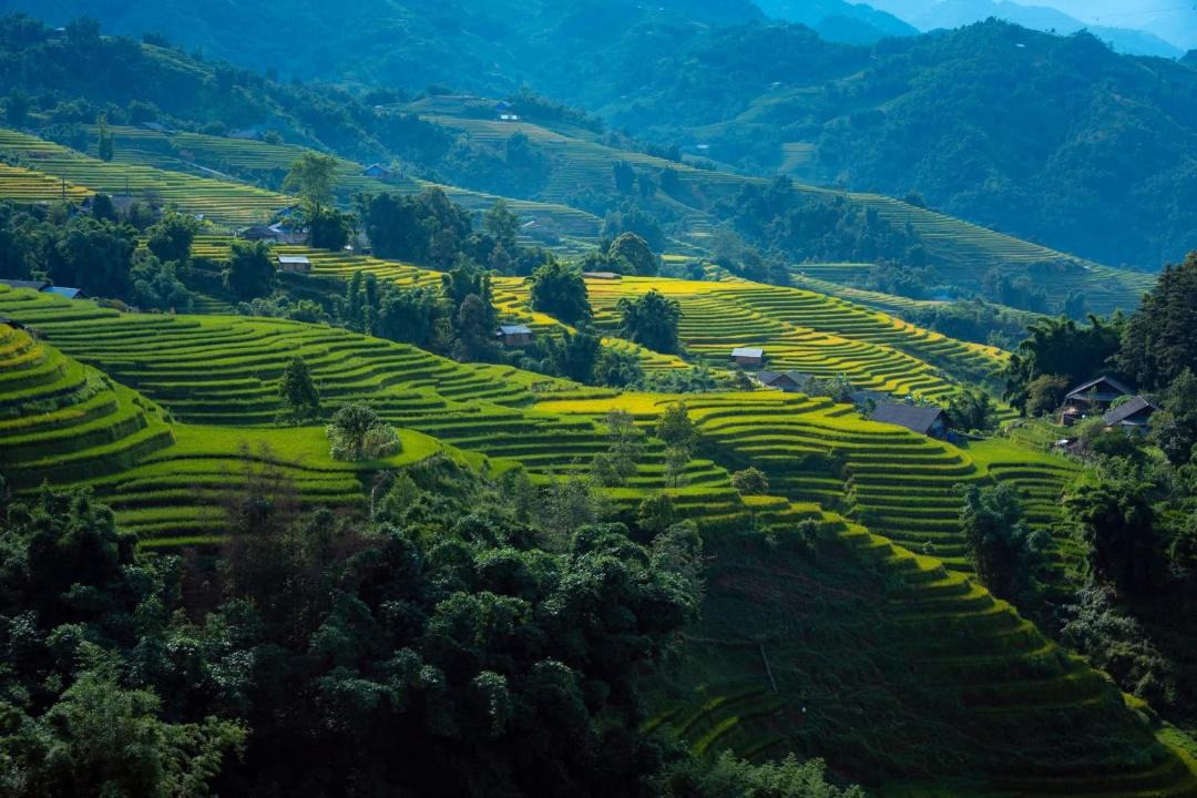 Photo of Others in Sa Pa