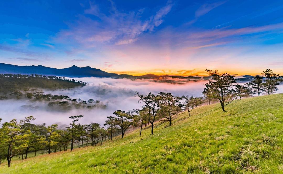 Photo of Others in Da Lat