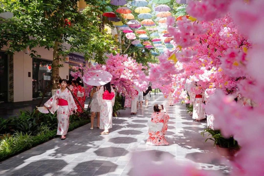 Photo of Others in Thanh Thuy