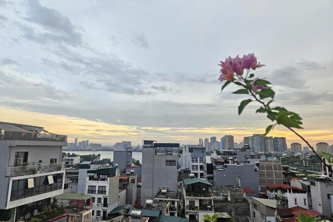 Photo of Others in Nhat Tan