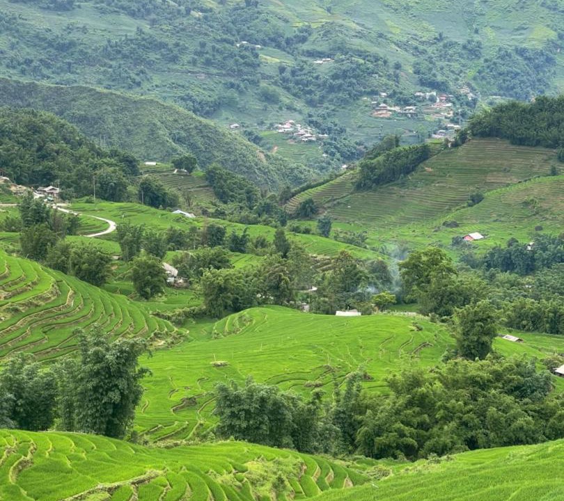Photo of Others in Sa Pa