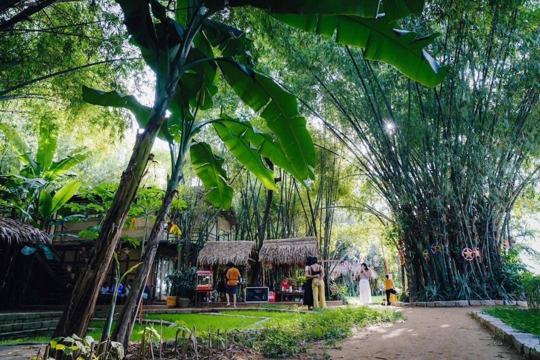 Photo of Others in Hoi An