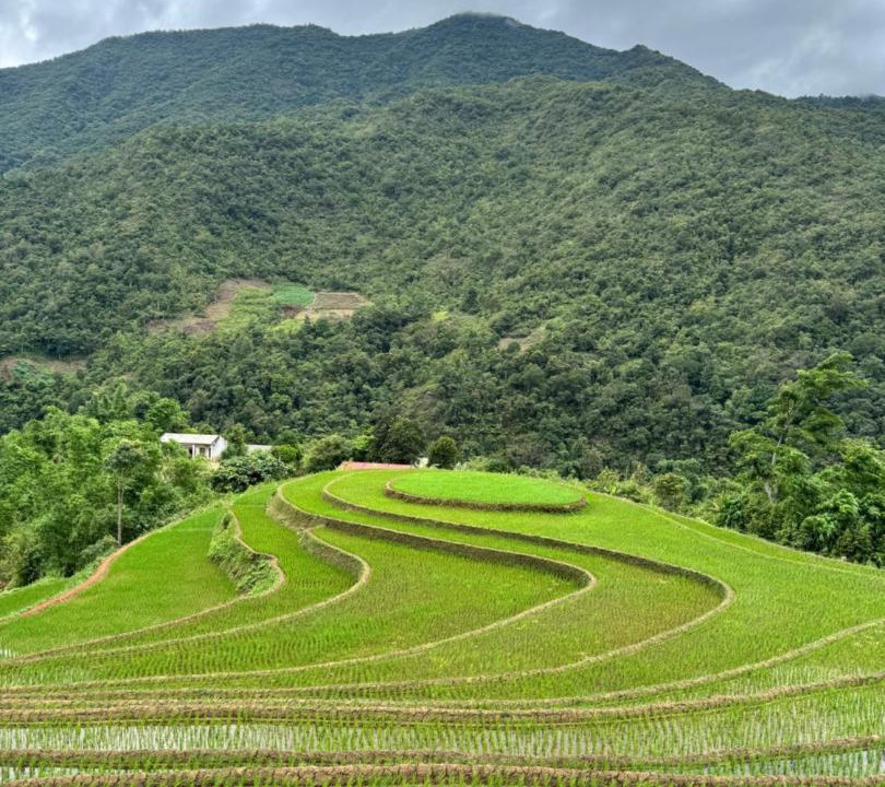 Photo of Others in Muong La