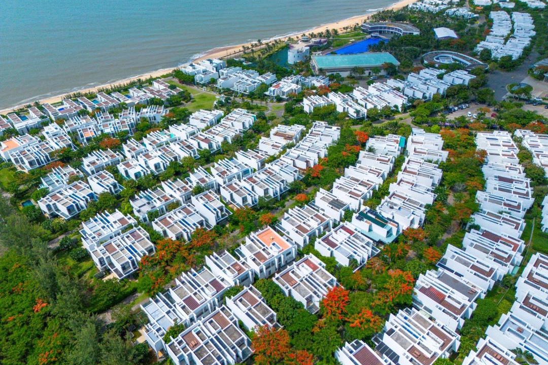 Photo of Others in Long Hai
