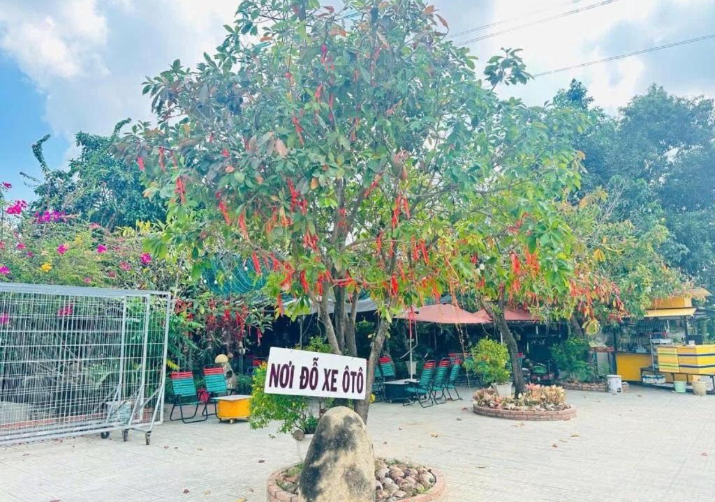 Photo of Outdoor in Tay Ninh