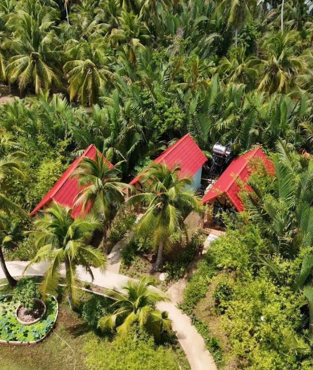 Photo of Others in Mo Cay Nam