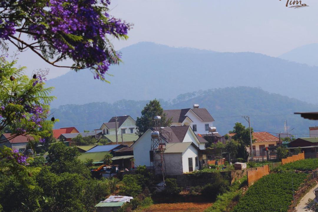 Photo of Others in Lac Duong