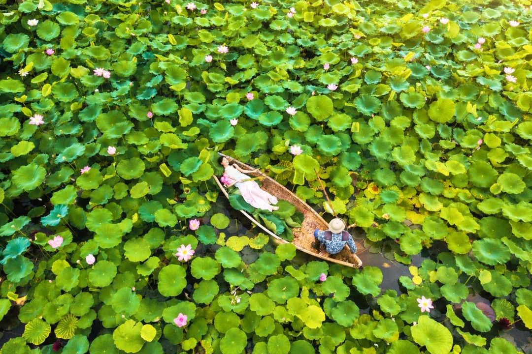 Photo of Others in Thanh Thuy