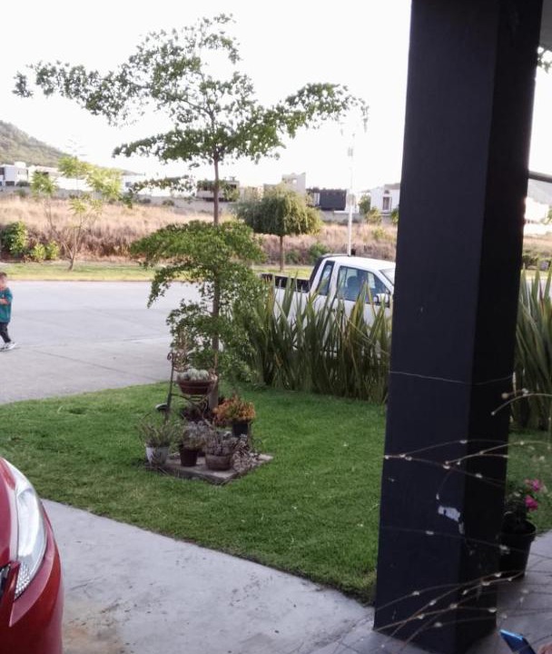 Photo of Others in Zapopan