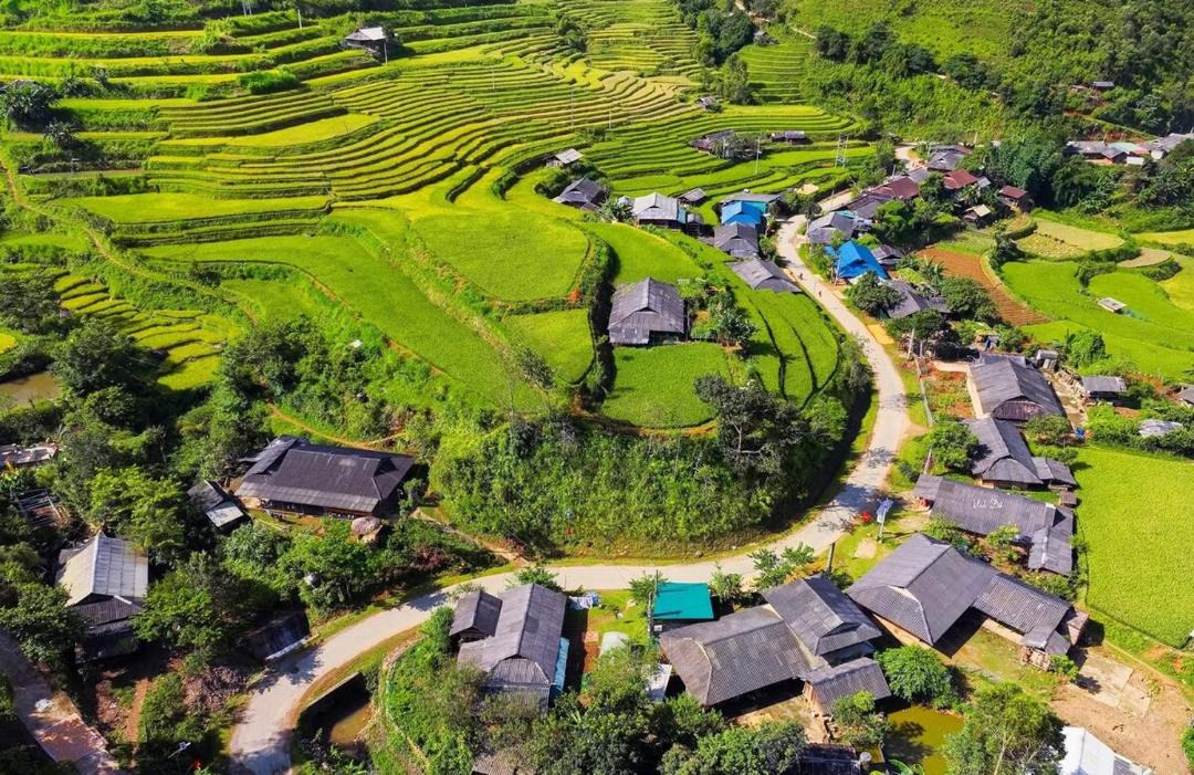 Photo of Others in Muong La