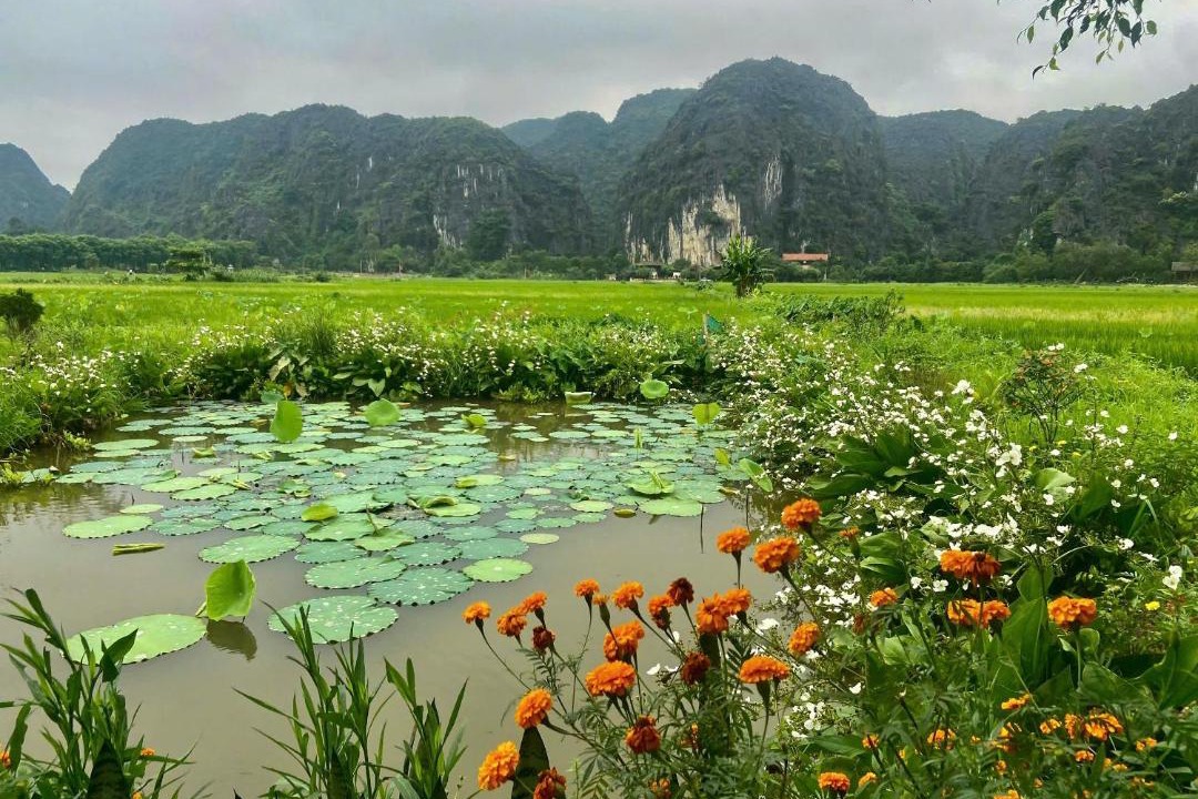 Photo of Others in Hoa Lu