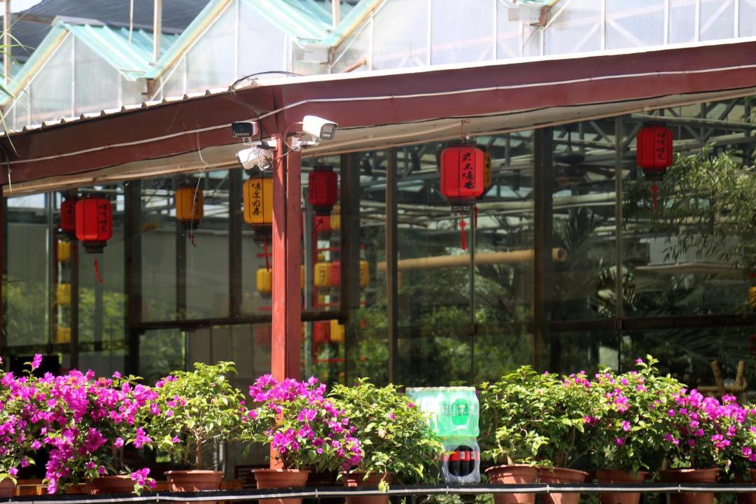Photo of Others in Huairou