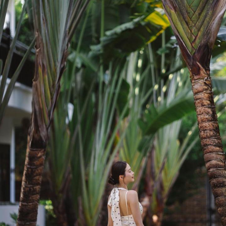 Photo of Others in Cam Chau