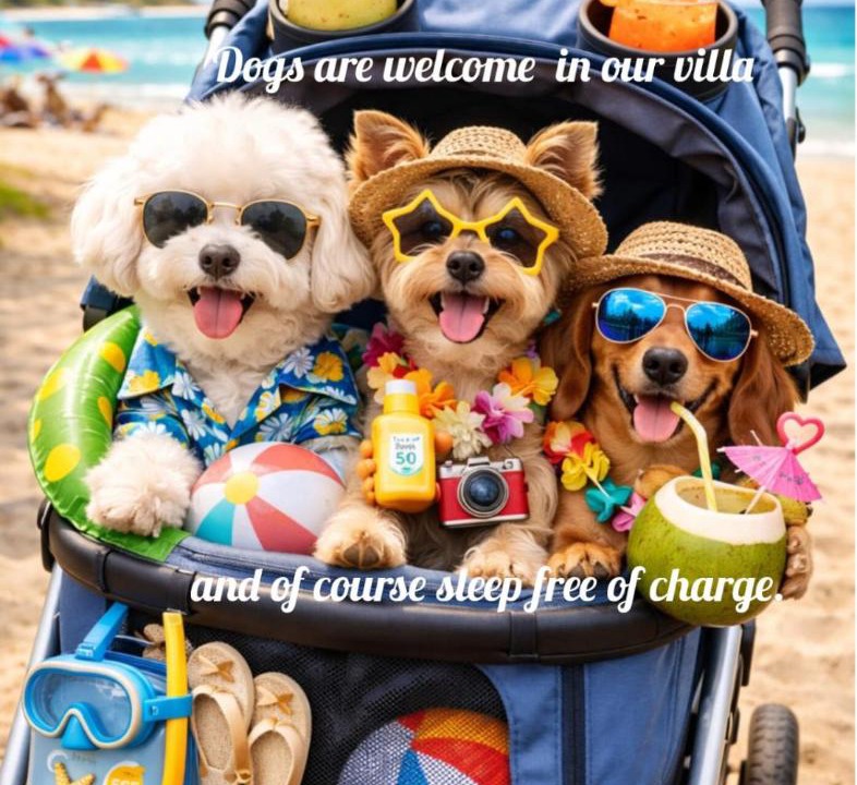 Photo of Others in Cam Chau