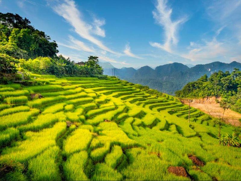 Photo of Others in Trieu Son