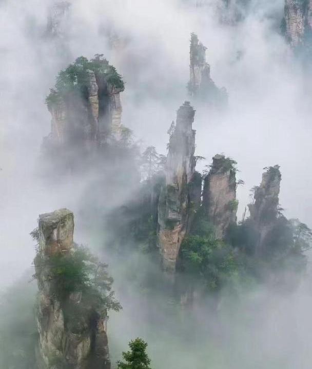 Photo of Others in Yongding
