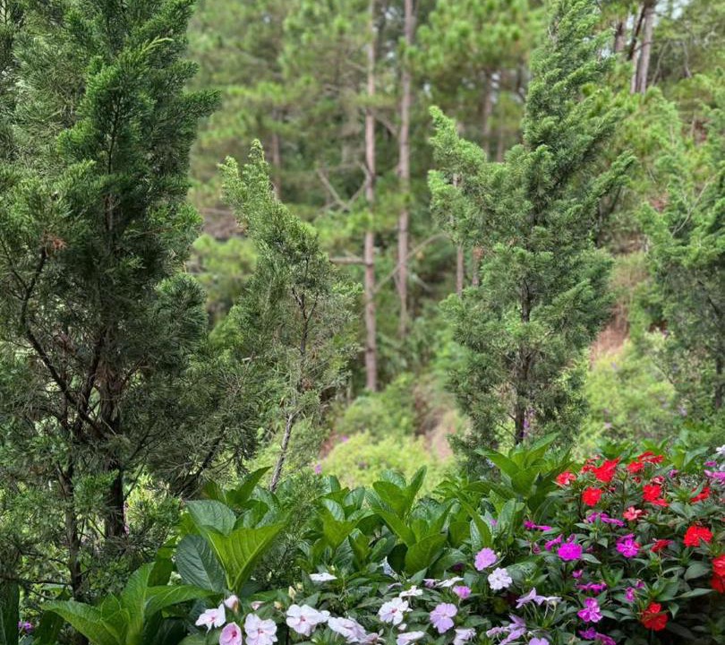 Photo of Others in Da Lat