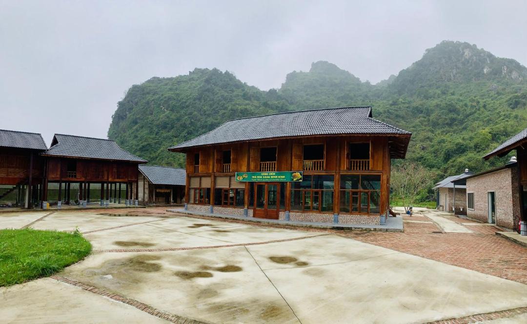 Photo of Others in Nho Quan