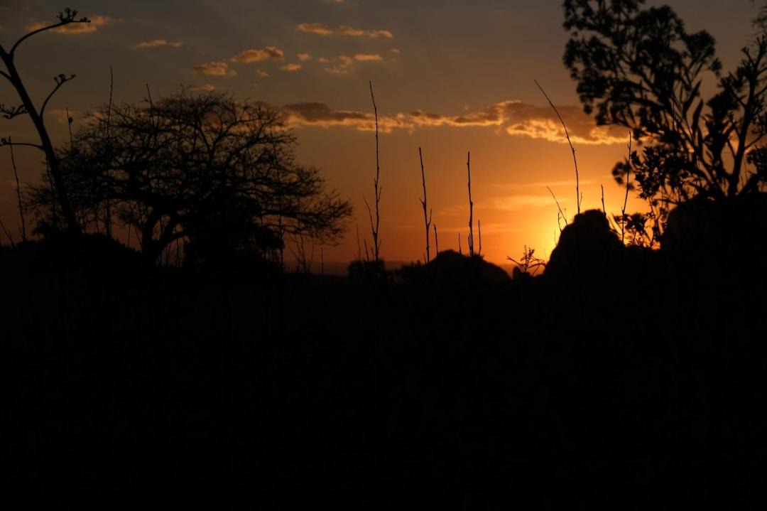 Photo of Others in Amatlan